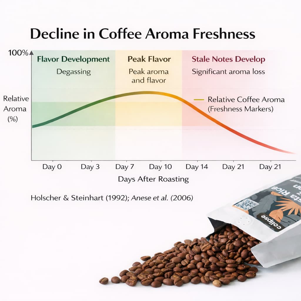 Costa Rica Coffee Beans - Image 12