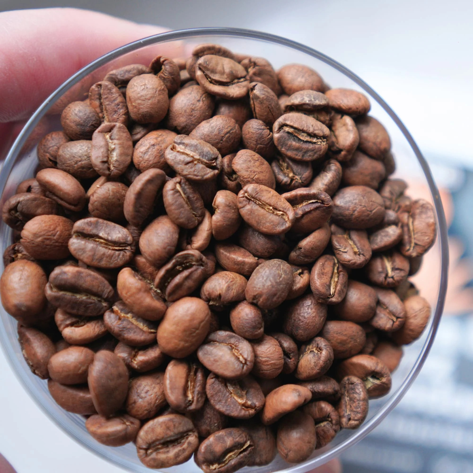 Costa Rica Coffee Beans - Image 9